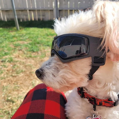 Óculos de Sol com Proteção UV para Cães e Gatos