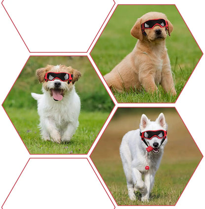 Óculos de Sol com Proteção UV para Cães e Gatos