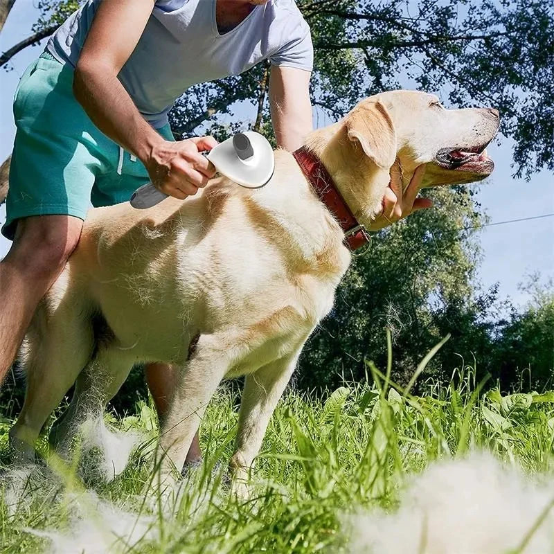 Escova Auto-Limpeza para Cães e Gatos