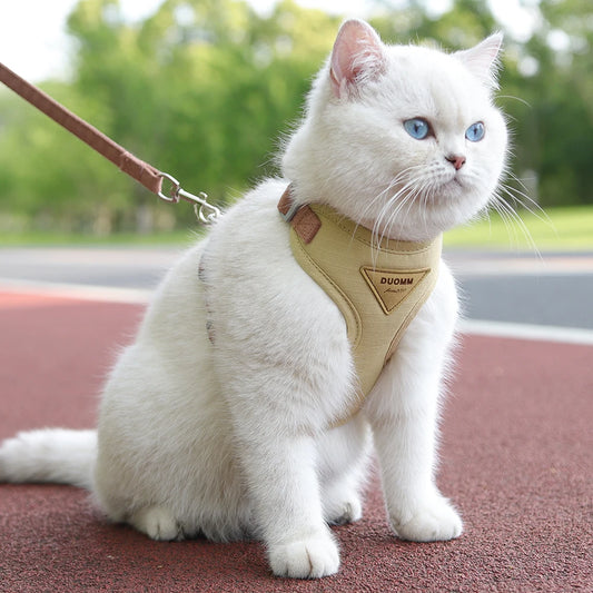 Arnês Respirável com Trela para Cães e Gatos