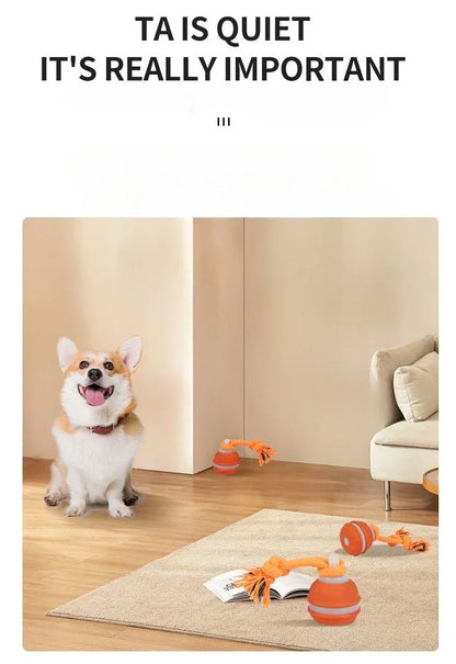 Bola Interativa Inteligente com Movimento Automático para Cães