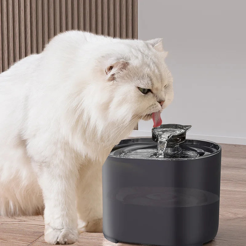 Fonte Automática de Água para Gatos e Cães com Recirculação e Filtro USB