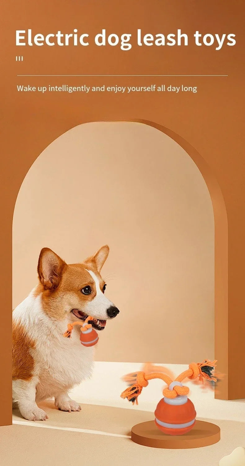 Bola Interativa Inteligente com Movimento Automático para Cães