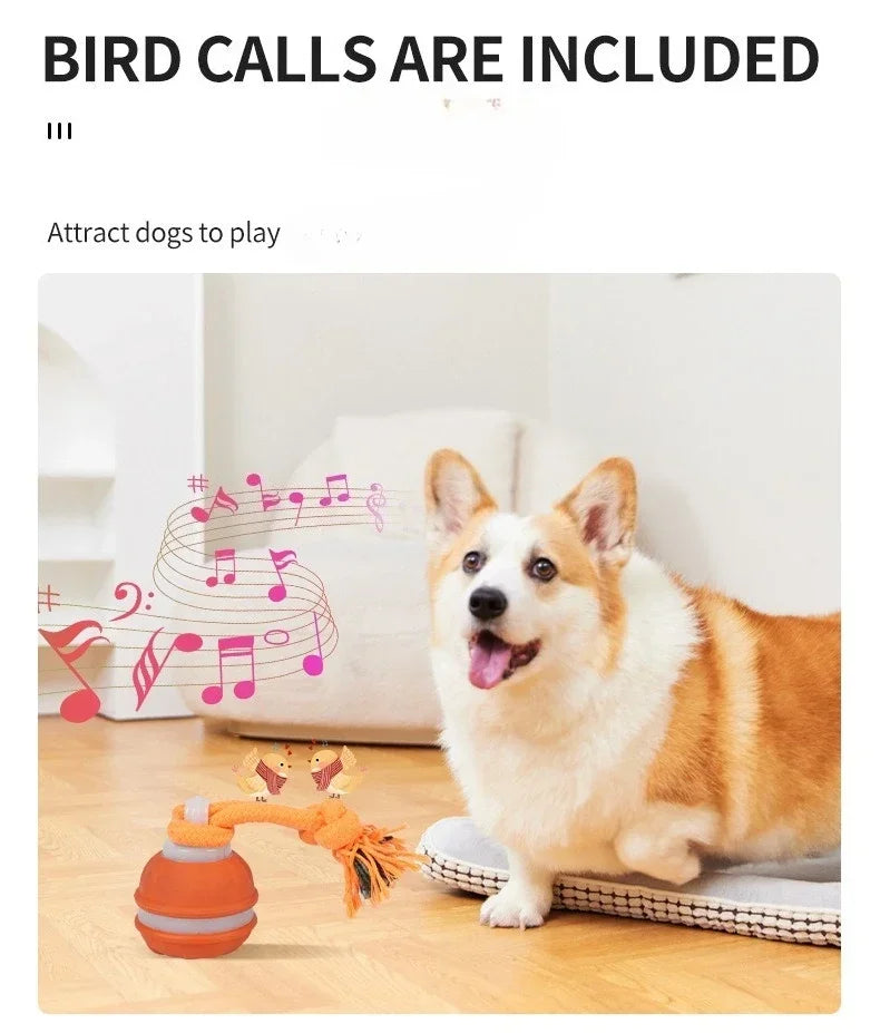 Bola Interativa Inteligente com Movimento Automático para Cães
