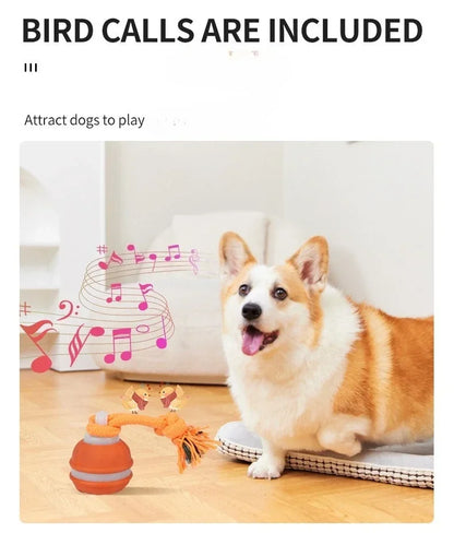 Bola Interativa Inteligente com Movimento Automático para Cães