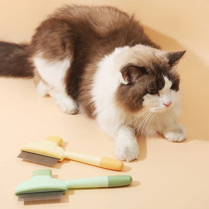 Remova Até os Pelos Mais Teimosos – A Escova que Todos os Donos de Pets Precisam!