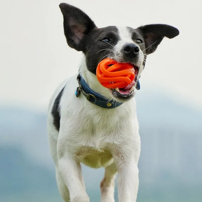 Bola AntiStress Pet