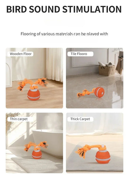 Bola Interativa Inteligente com Movimento Automático para Cães