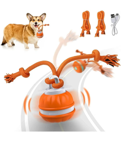 Bola Interativa Inteligente com Movimento Automático para Cães