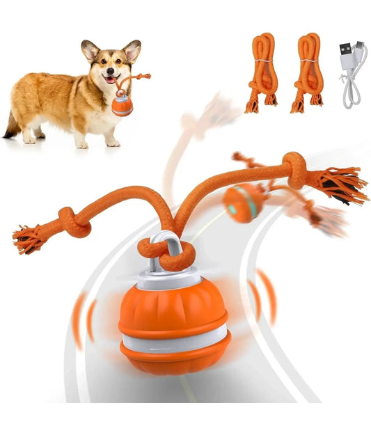 Bola Interativa Inteligente com Movimento Automático para Cães