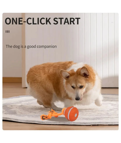 Bola Interativa Inteligente com Movimento Automático para Cães