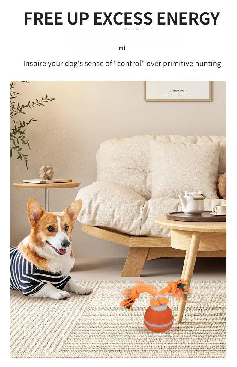 Bola Interativa Inteligente com Movimento Automático para Cães