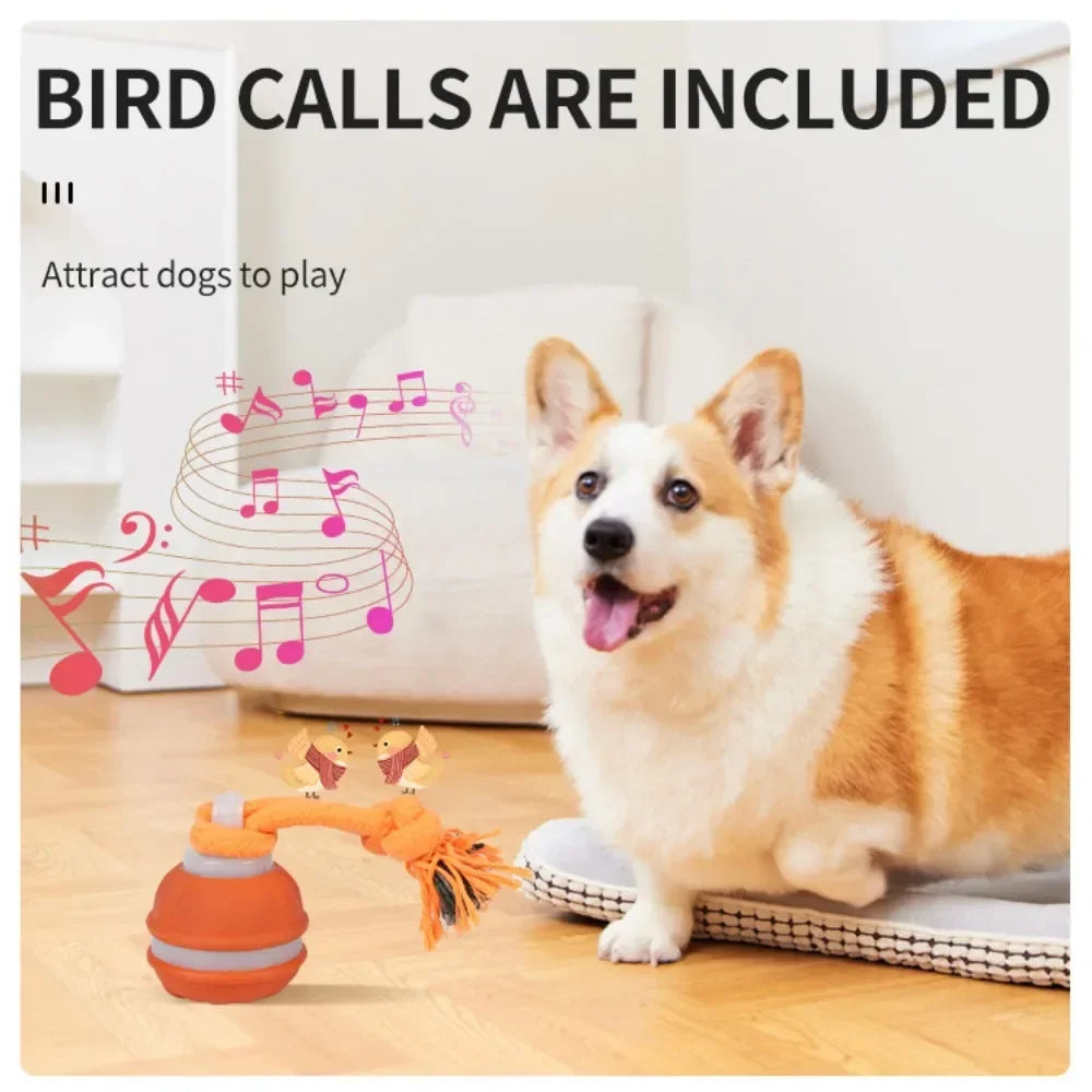 Bola Interativa Inteligente com Movimento Automático para Cães