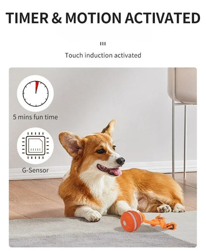Bola Interativa Inteligente com Movimento Automático para Cães