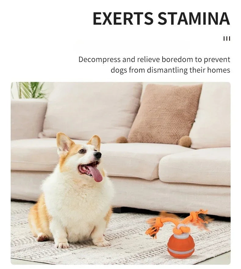 Bola Interativa Inteligente com Movimento Automático para Cães