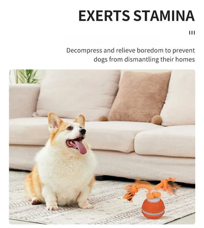 Bola Interativa Inteligente com Movimento Automático para Cães