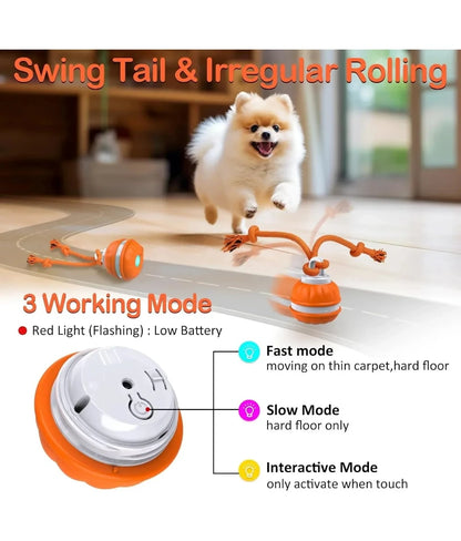 Bola Interativa Inteligente com Movimento Automático para Cães