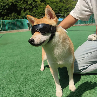 Óculos de Sol com Proteção UV para Cães e Gatos