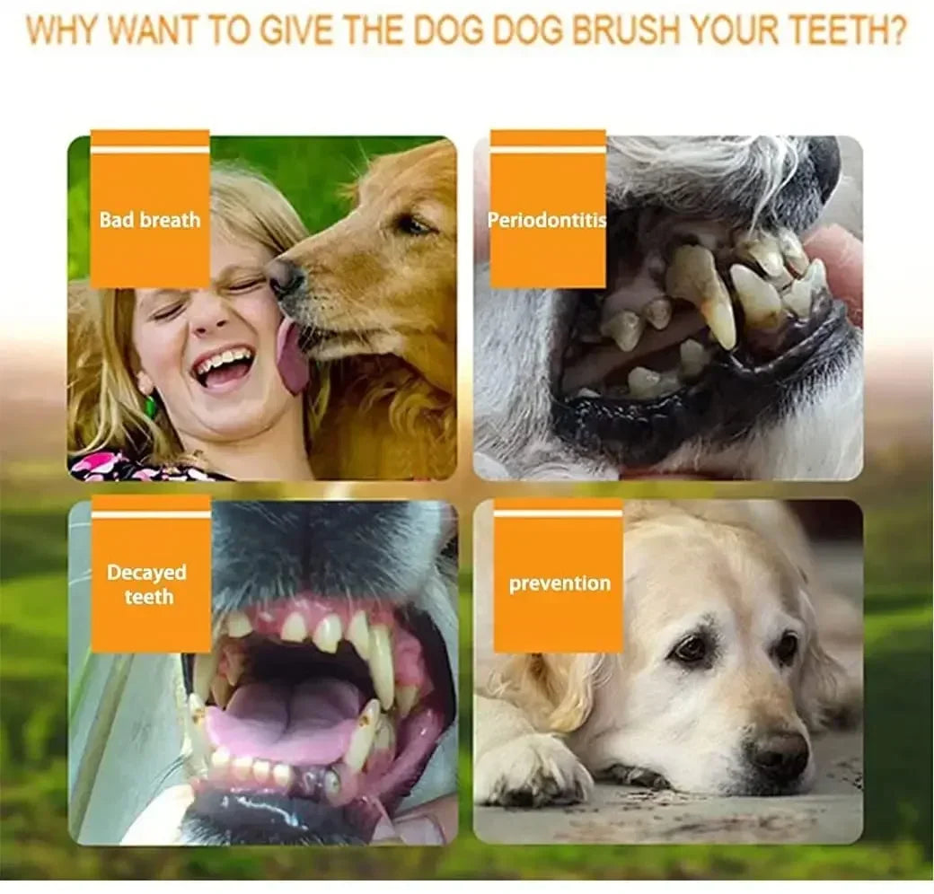 Escova de Dentes de Silicone para Pets